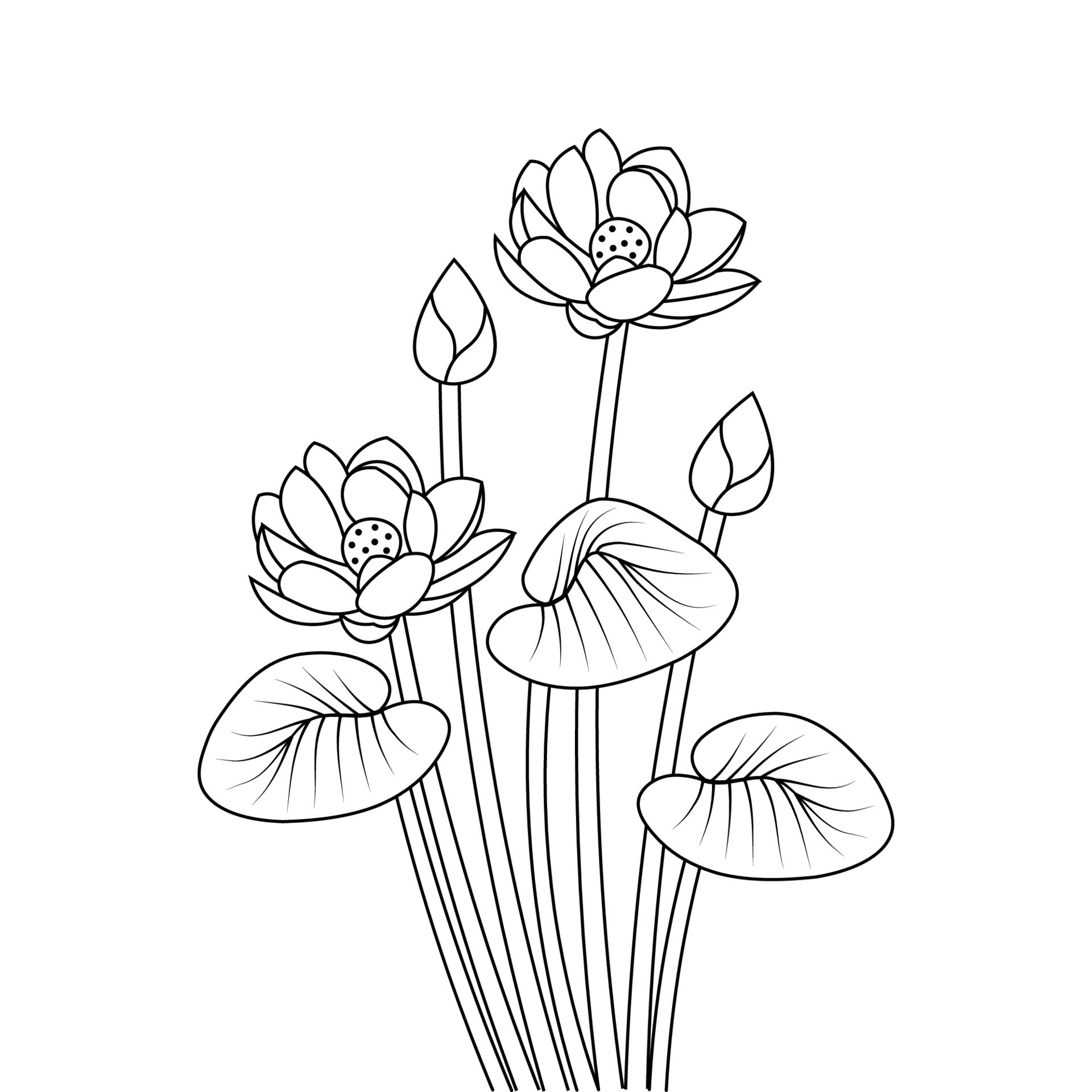 indian lotus flower line art illustration of coloring page for kids