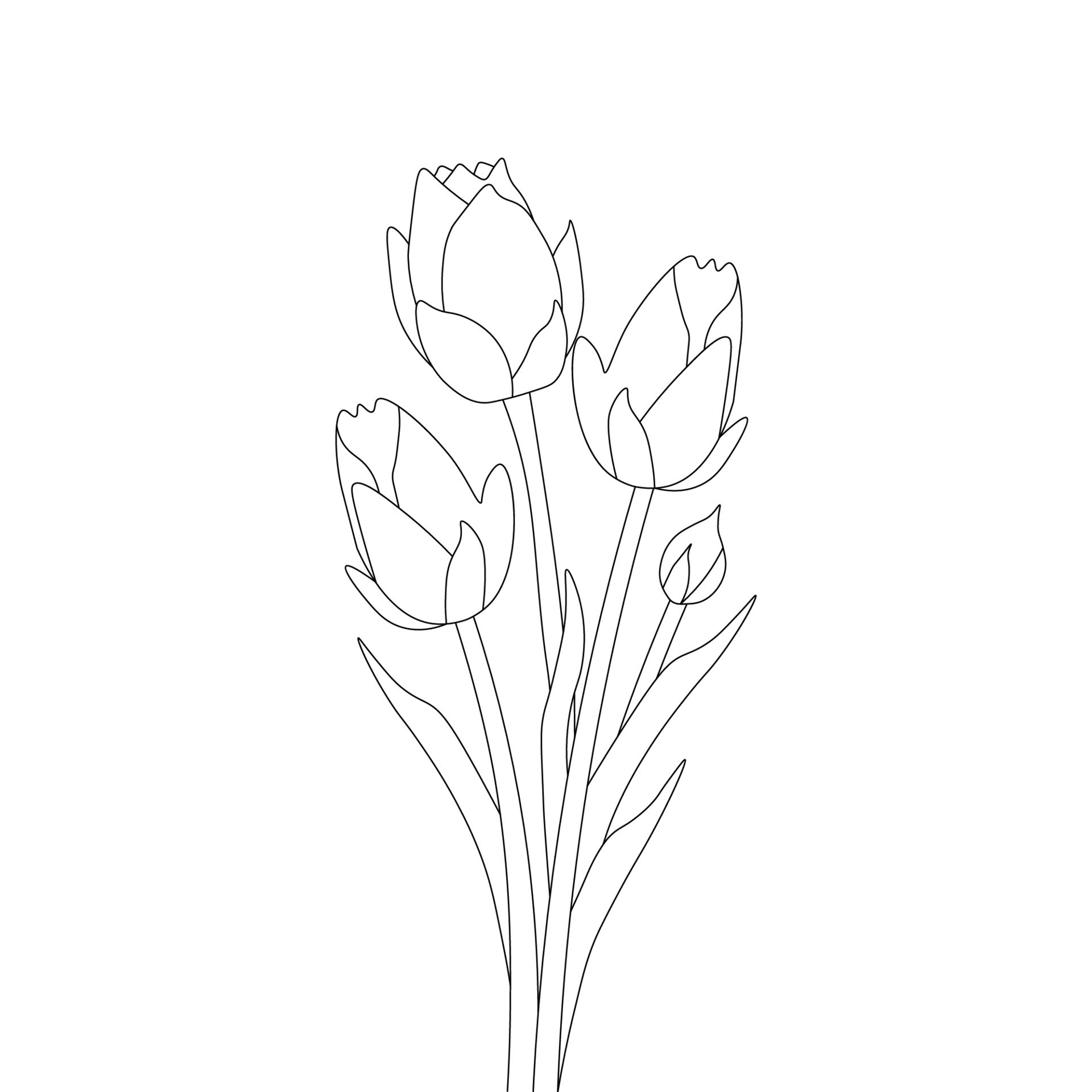 creative line stroke flower coloring page drawing of natural beautiful ...