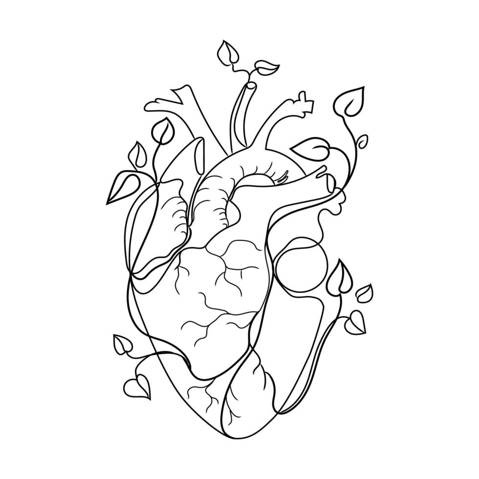 corazón humano con ramas que crecen plantas hojas línea arte vector ilustración aislado sobre fondo blanco. dibujo anatómico abstracto del forro del corazón, boceto en blanco y negro, gran diseño para cualquier propósito