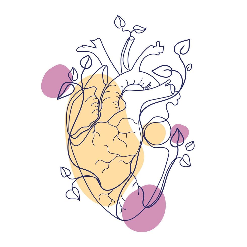 Abstract Human Anatomical Heart Line art modern drawing,vector graphic.Heart with branches and leaves growing from it.Minimal art design isolated on white background.Hand drawn human organ vector