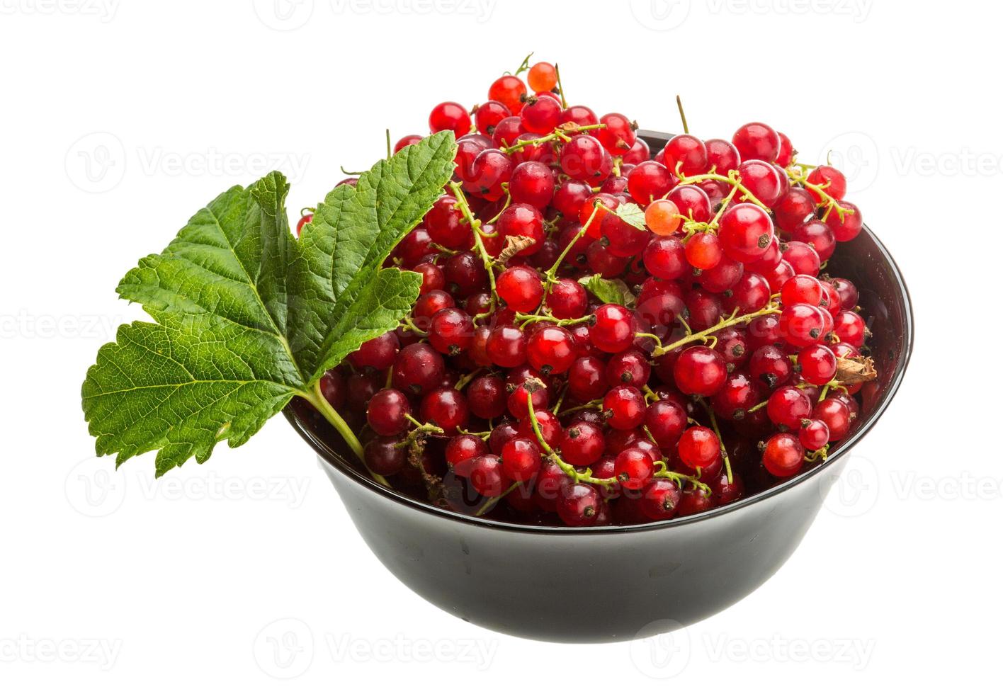 Red currant isolated on white background photo