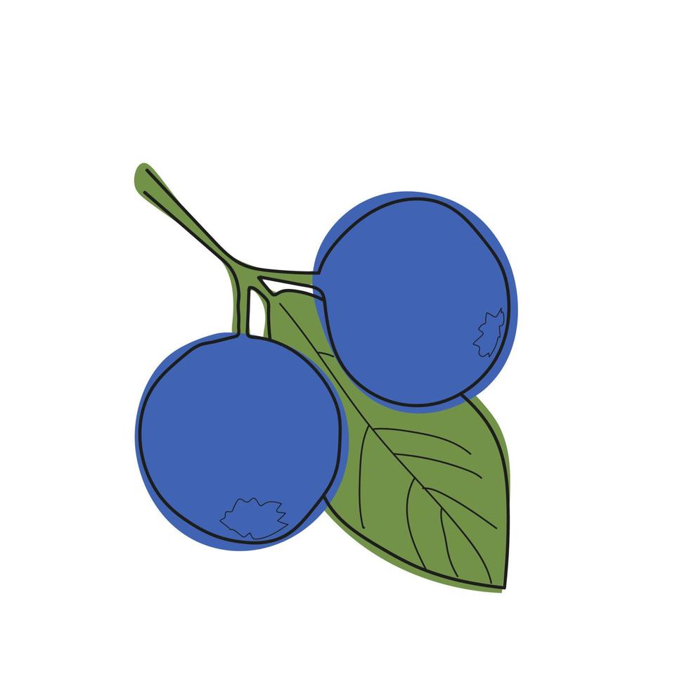 Blueberry branch minimalistic flat and line style.sprig of blueberries with leaves and berries vector