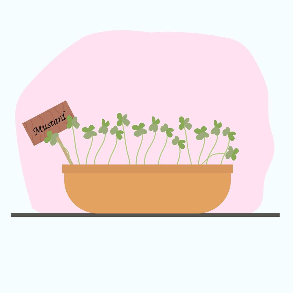 microgreen mustard in a clay pot grown at home. vector