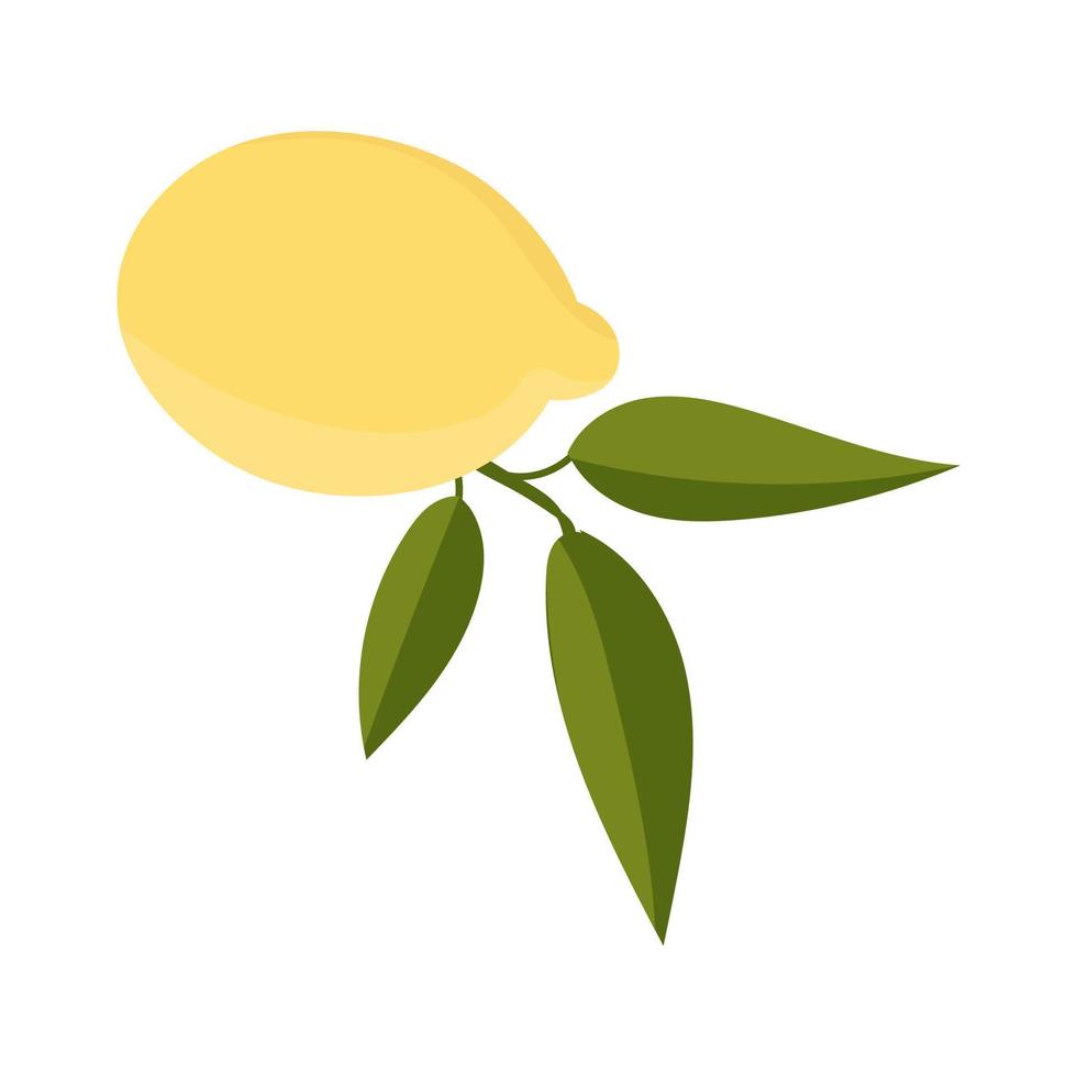 Lemon with leaves minimalism. Sour fresh lemon fruit. vector