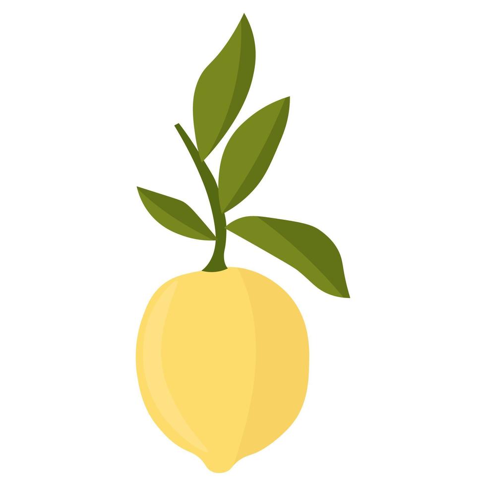 limón con hojas minimalismo. fruta agria de limón fresco. vector