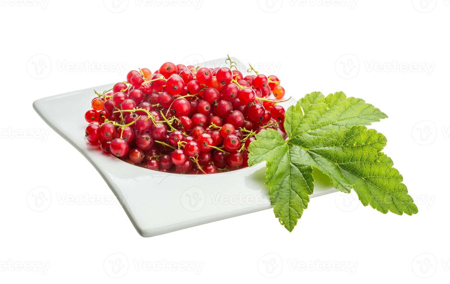 Red currant isolated on white background photo
