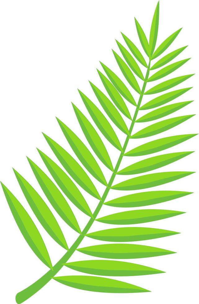 hoja verde tropical. vector