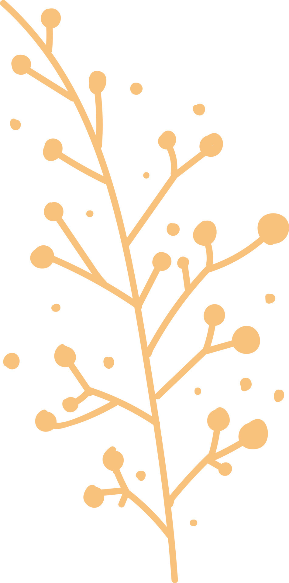 Floral elements, beige. 8890699 Vector Art at Vecteezy