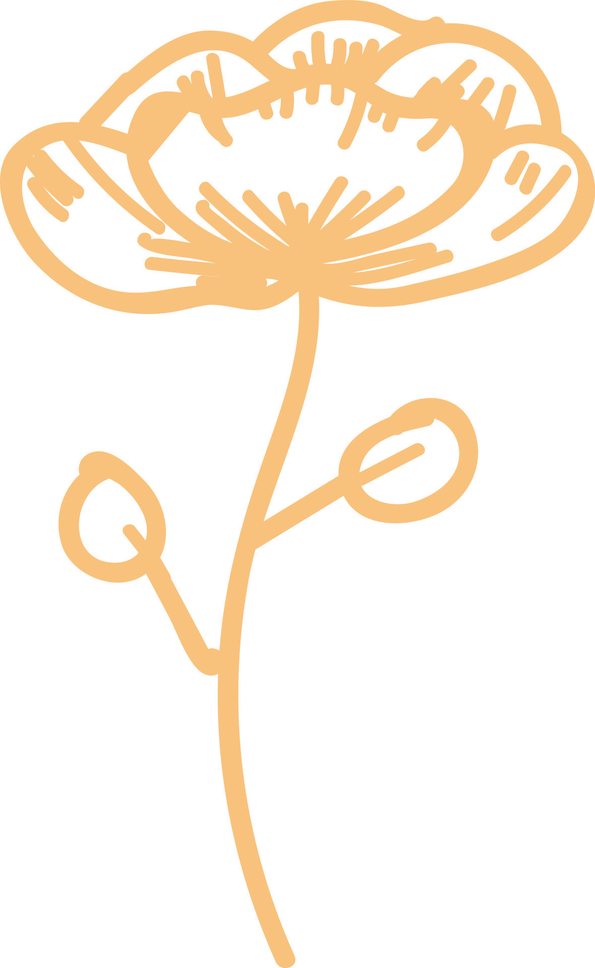 Floral elements, beige. 8890701 Vector Art at Vecteezy
