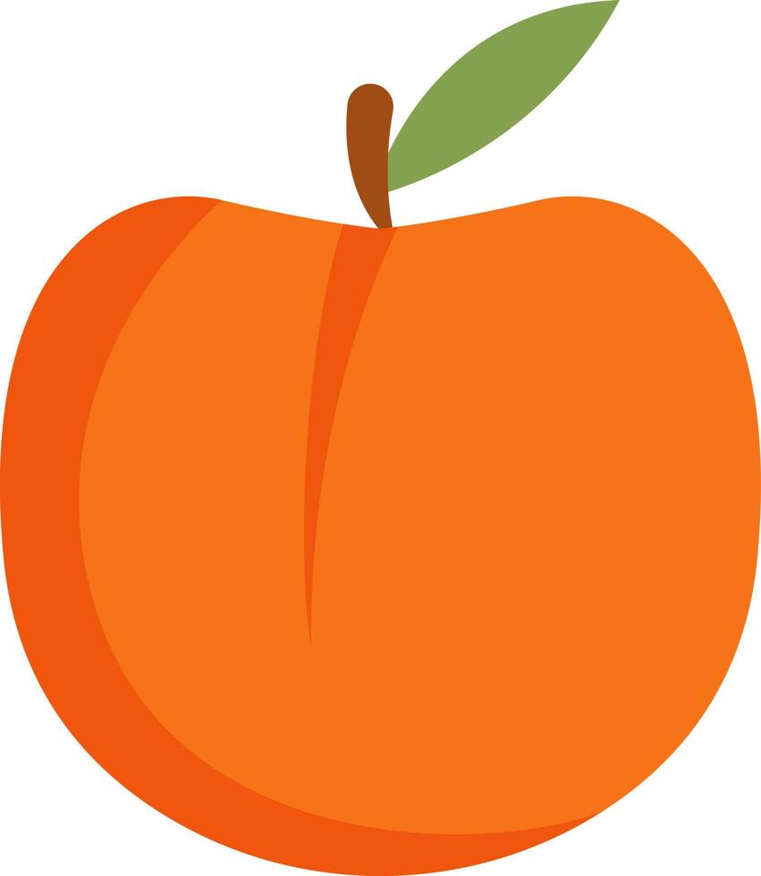 fruta naranja durazno. vector