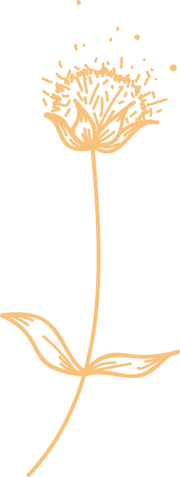 Floral elements, beige. 8890799 Vector Art at Vecteezy