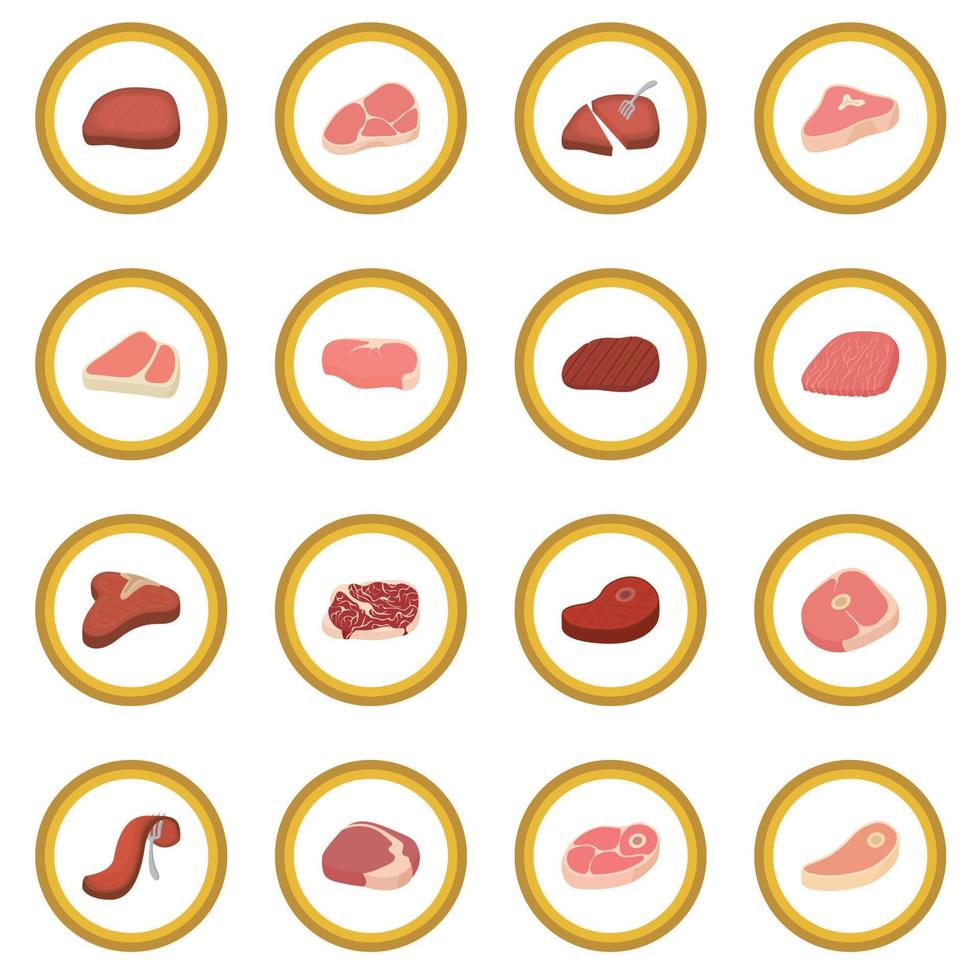 Steak icon circle vector