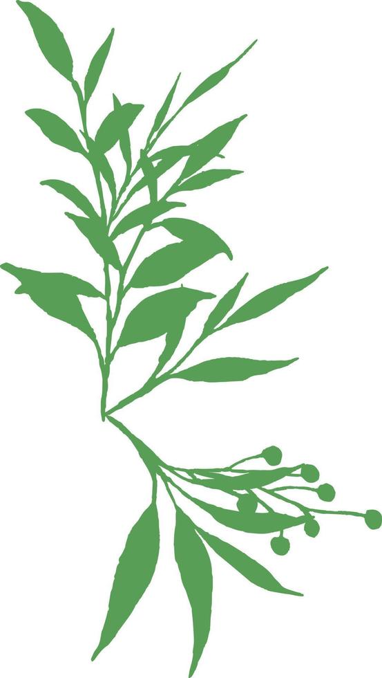 Silhouette of green branches. vector