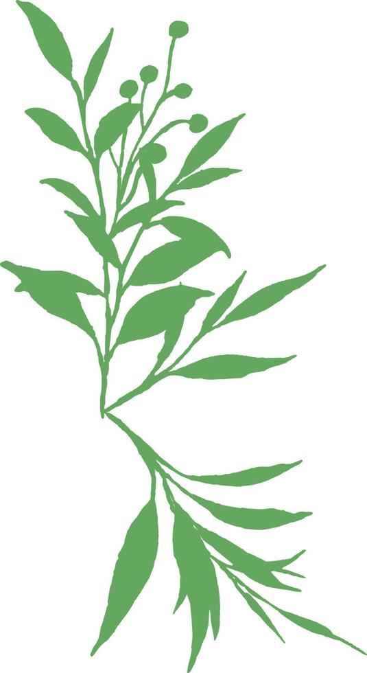 silueta de ramas verdes. vector