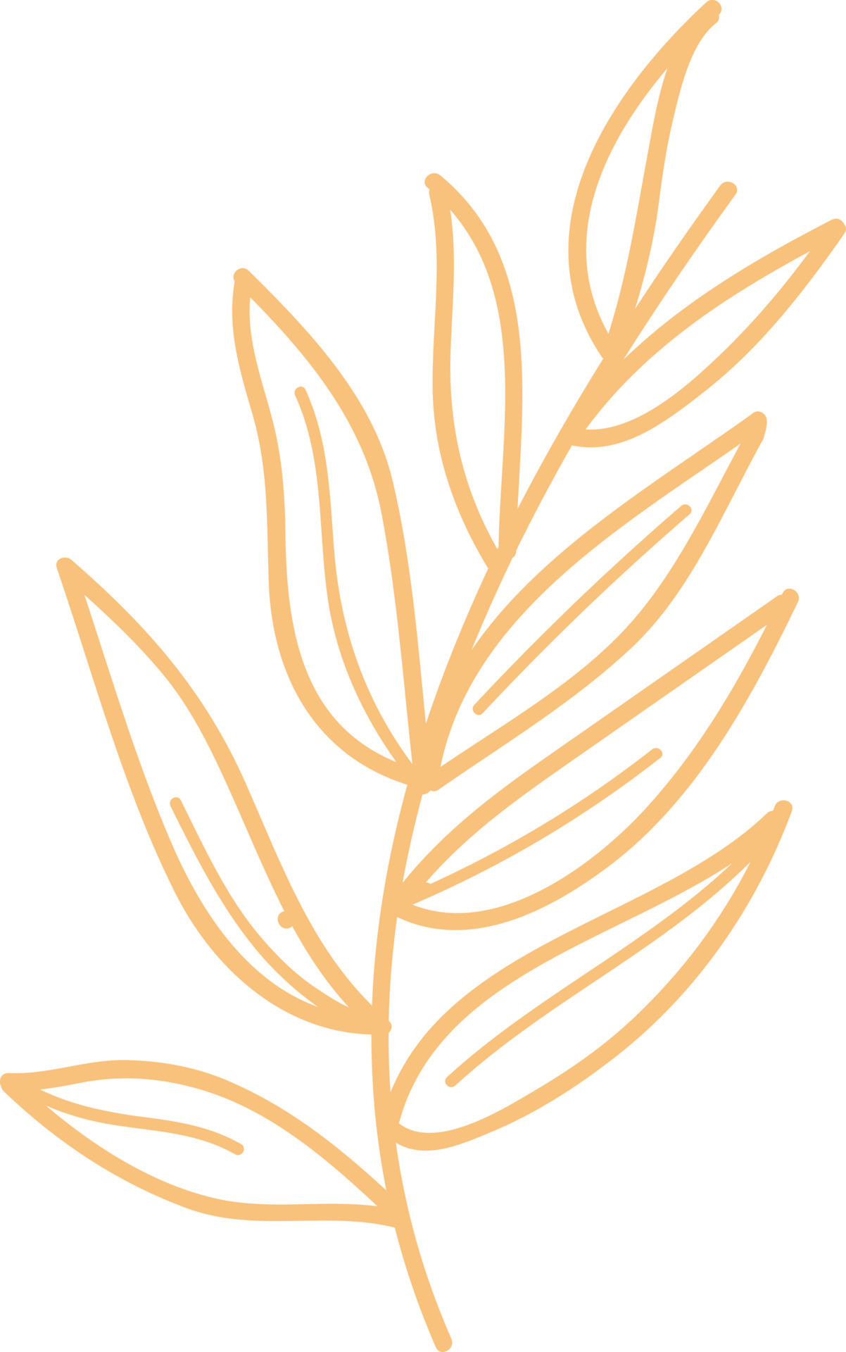 Floral elements, beige. 8890868 Vector Art at Vecteezy