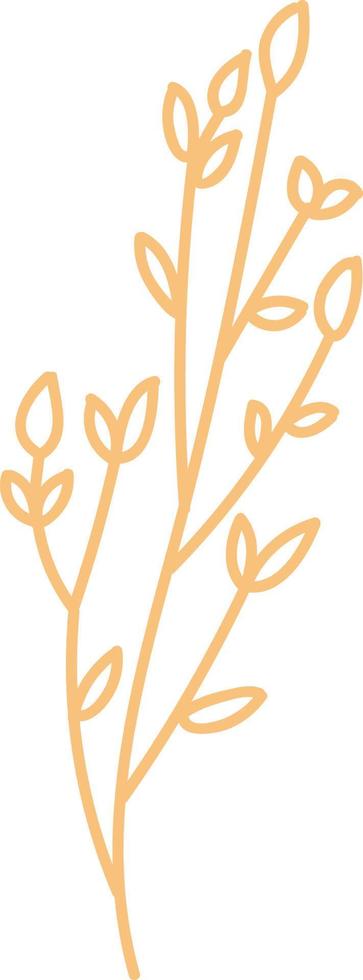 elementos florales, beige. vector