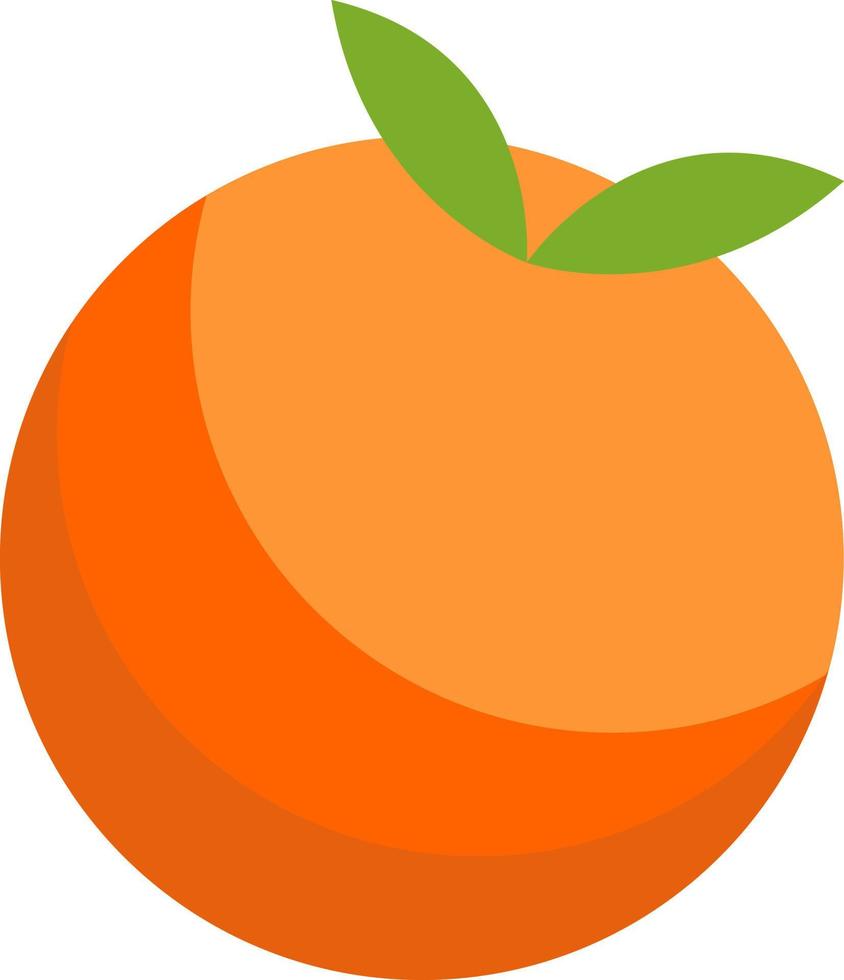 Whole orange orange. vector