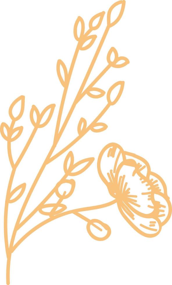 elementos florales, beige. vector