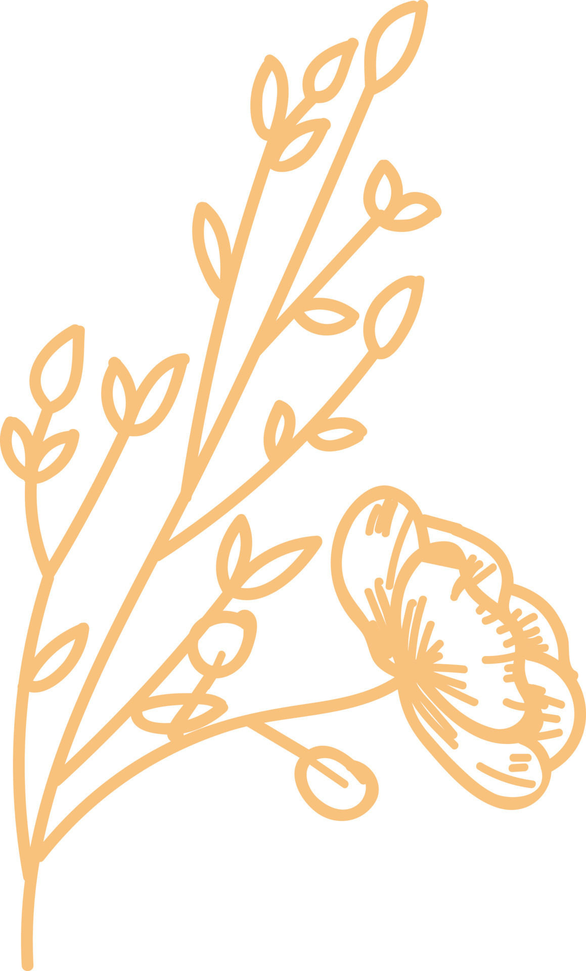 Floral elements, beige. 8890882 Vector Art at Vecteezy