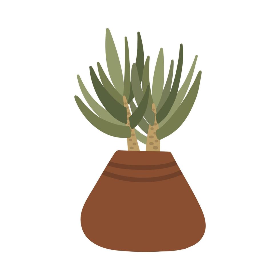 Botanical plant succulent in Scandinavian pot in boho style vector