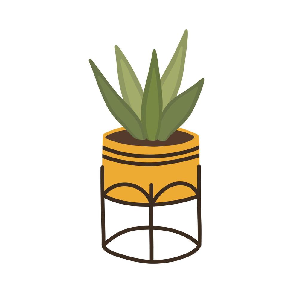 planta botánica suculenta haworthia en maceta escandinava al estilo boho vector