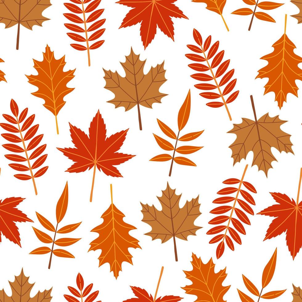 hojas de otoño y ramas de patrones sin fisuras ilustración vectorial vector
