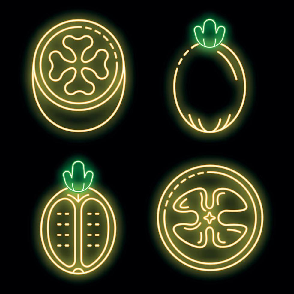 Feijoa icons set vector neon