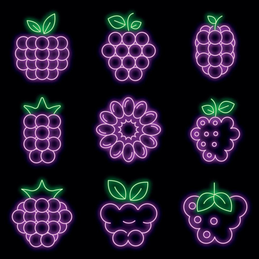 Raspberry icons set vector neon