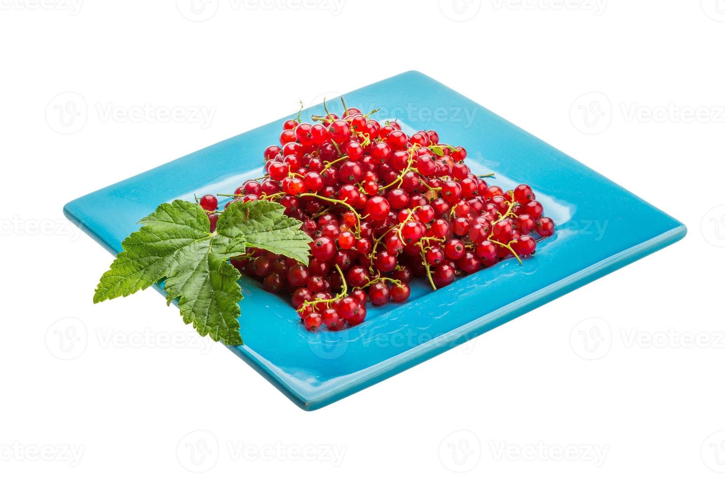 Red currant isolated on white background photo
