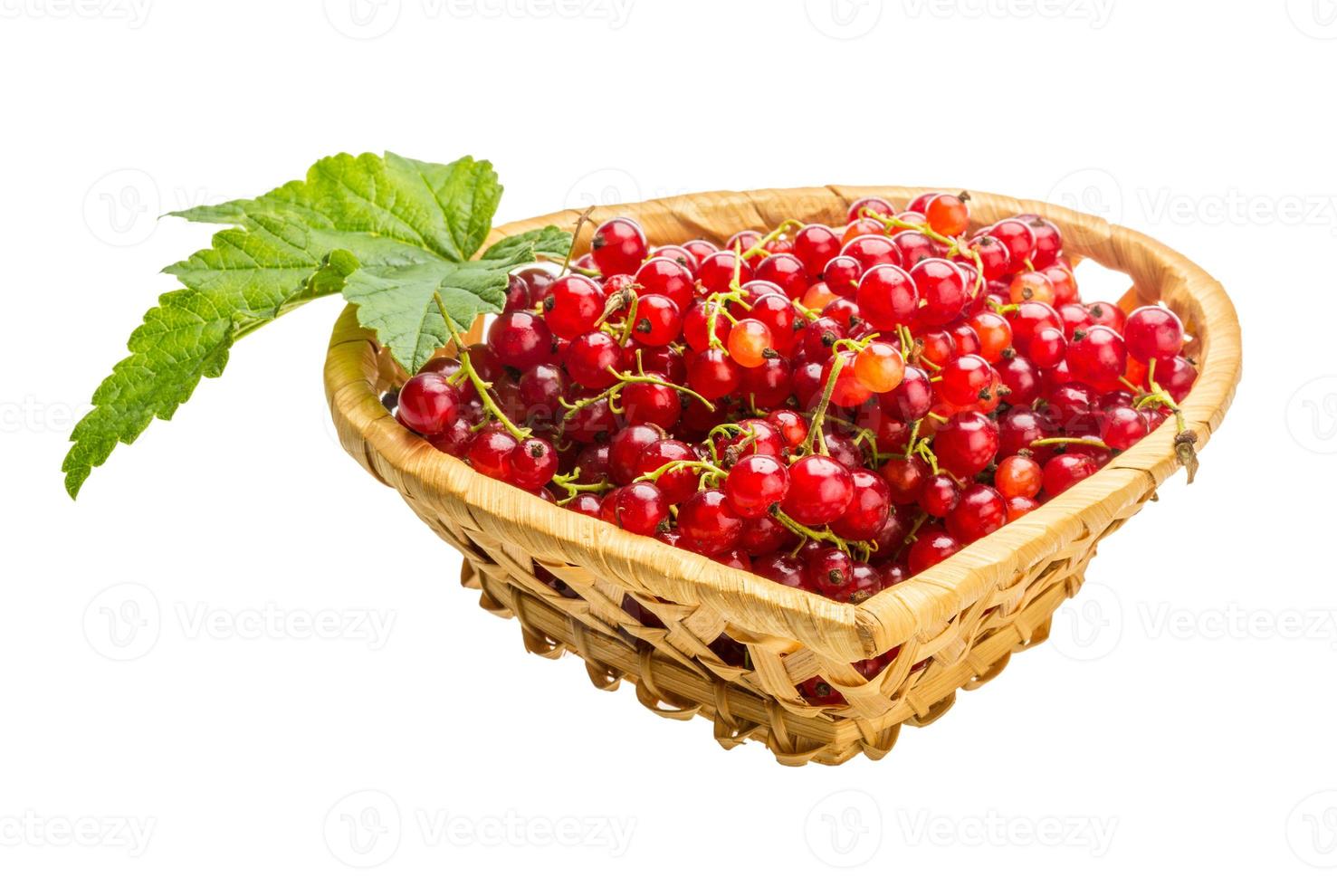 Red currant isolated on white background photo