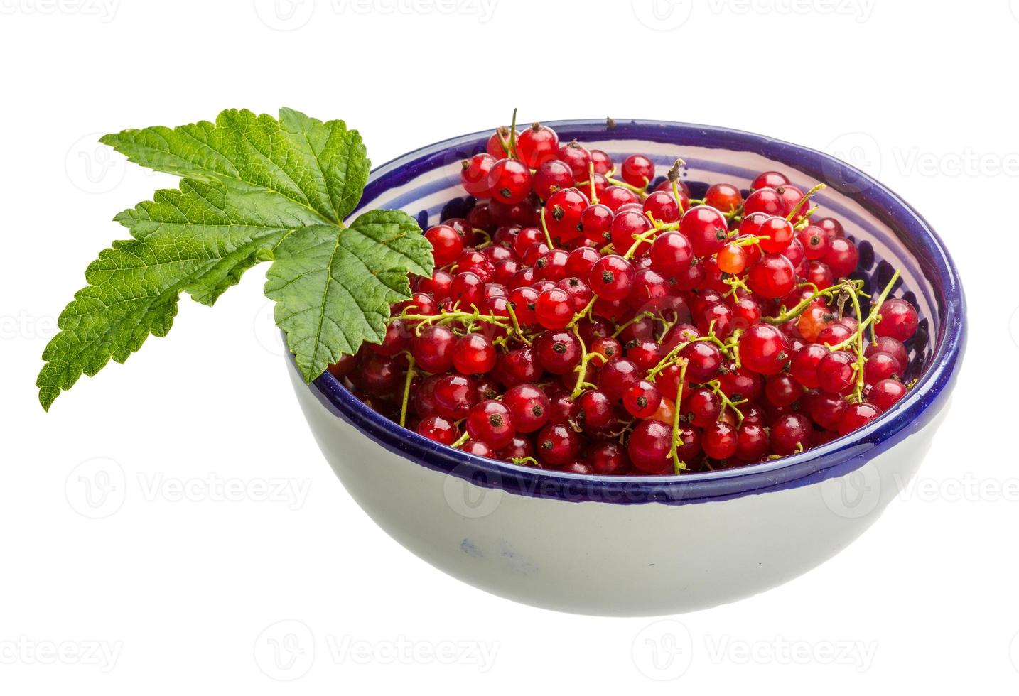 Red currant isolated on white background photo