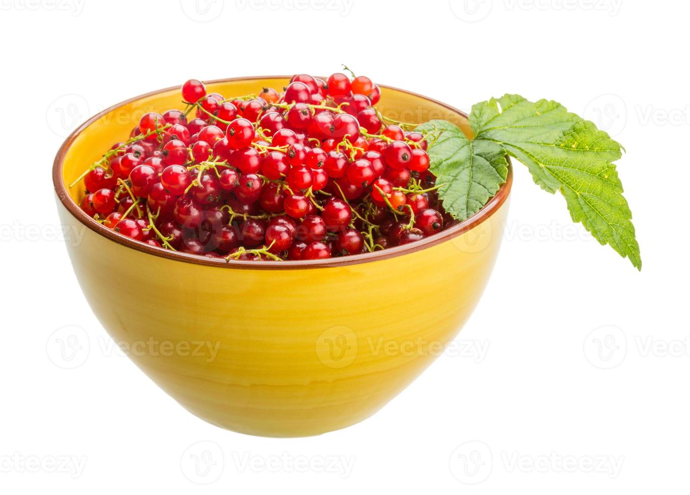 Red currant isolated on white background photo