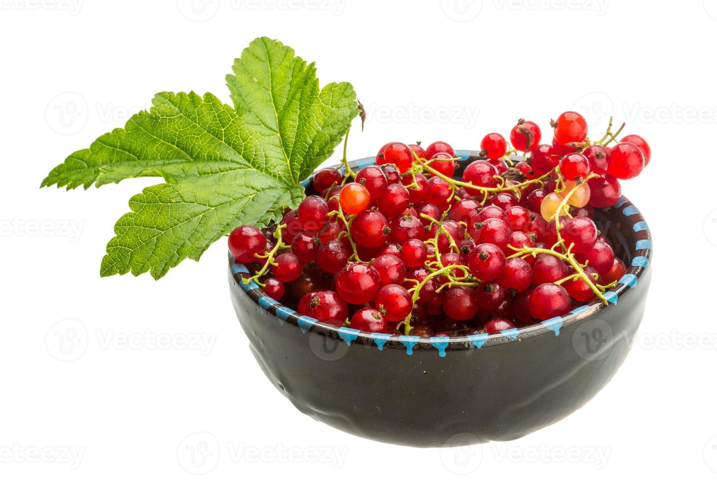 Red currant isolated on white background photo