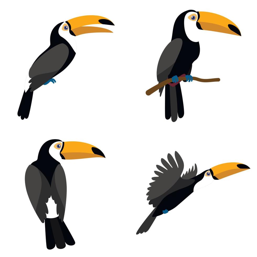 Toucan icons set, flat style vector