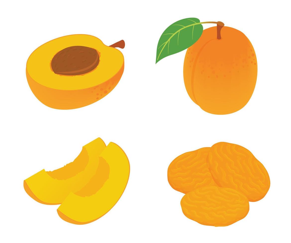 Apricot icons set, isometric style vector