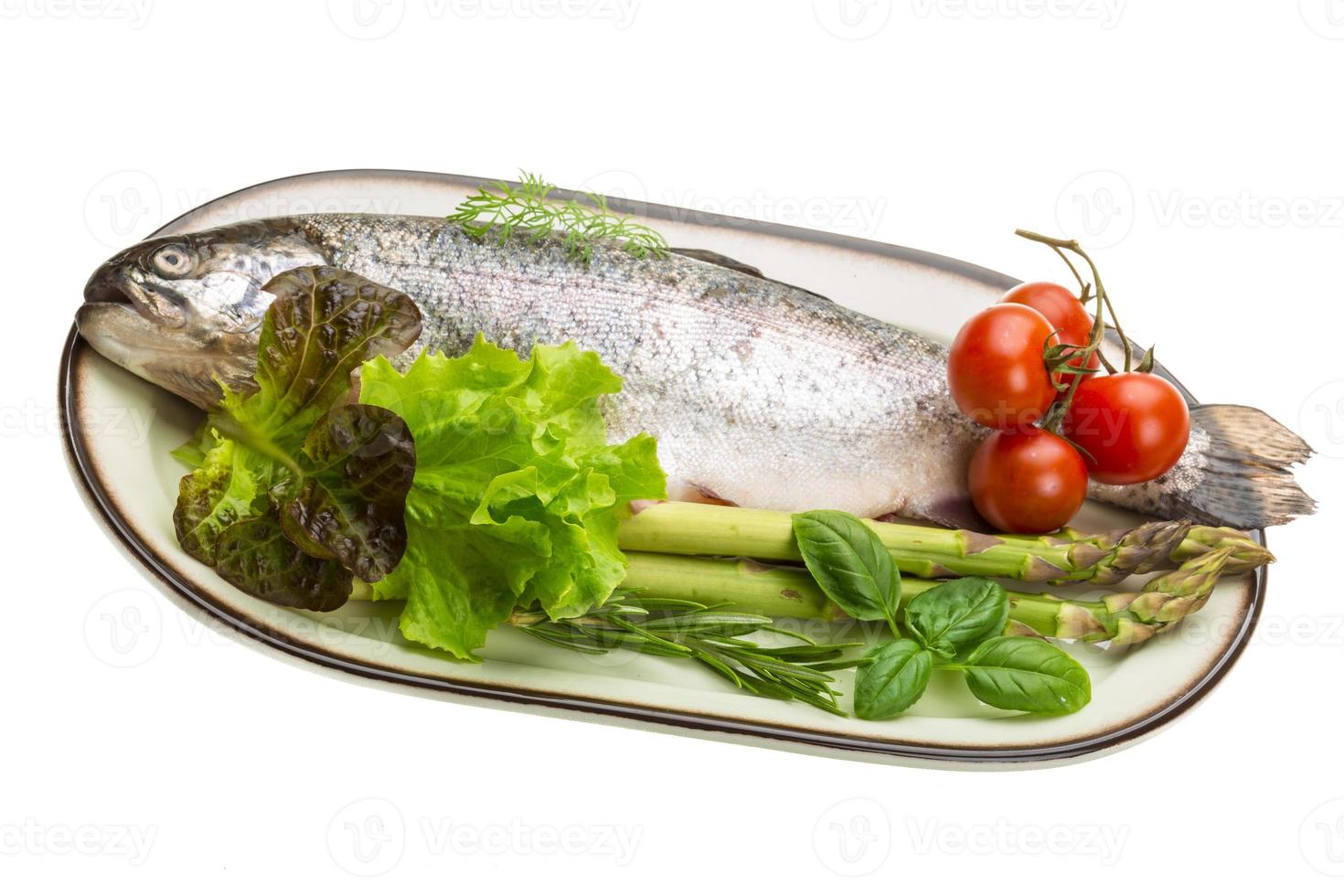 Fresh raw rainbow trout photo