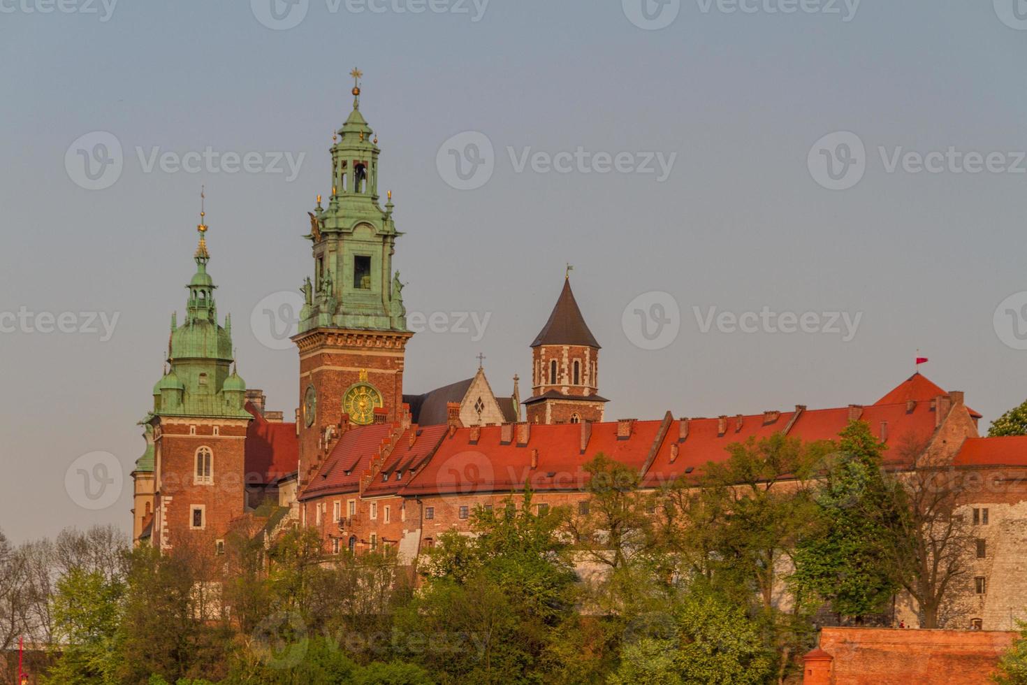 Royal castle in Wawel, Krarow photo