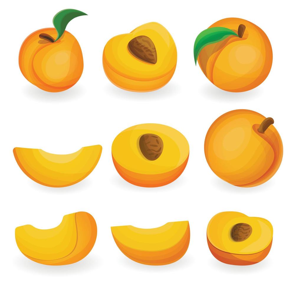 Peach icon set, cartoon style vector