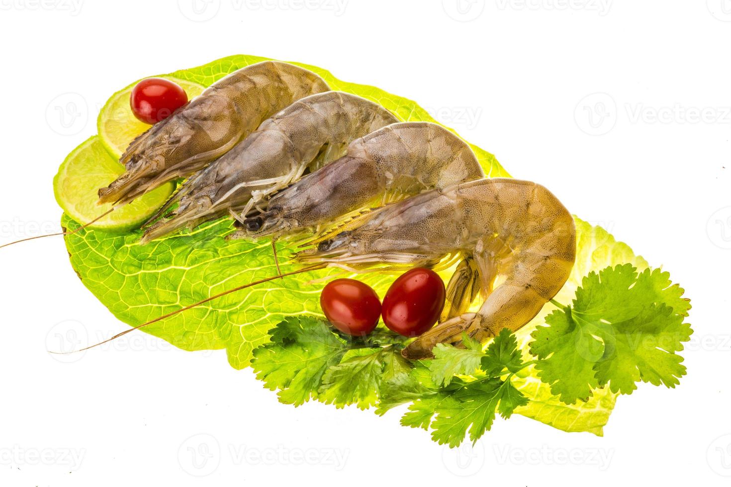 Big raw shrimps photo