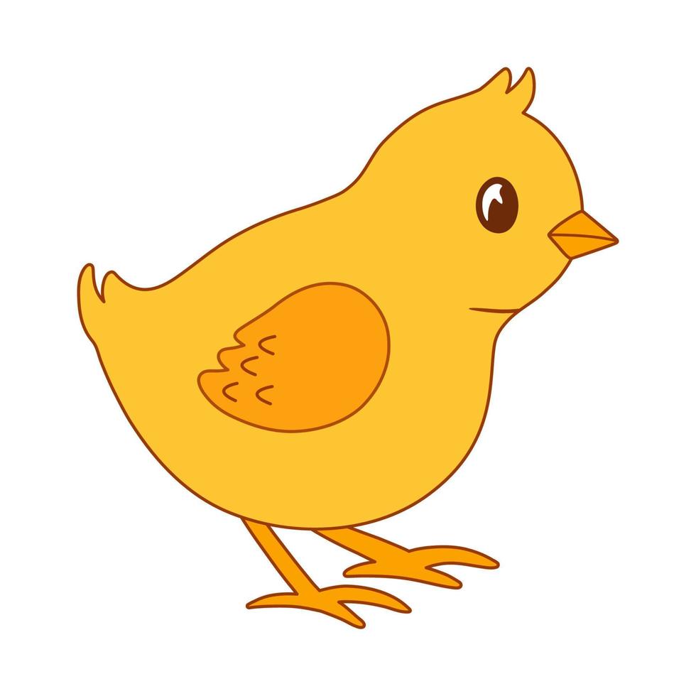 Cute easter yellow chick character isolated on white . Baby vector flat illustration with farm bird