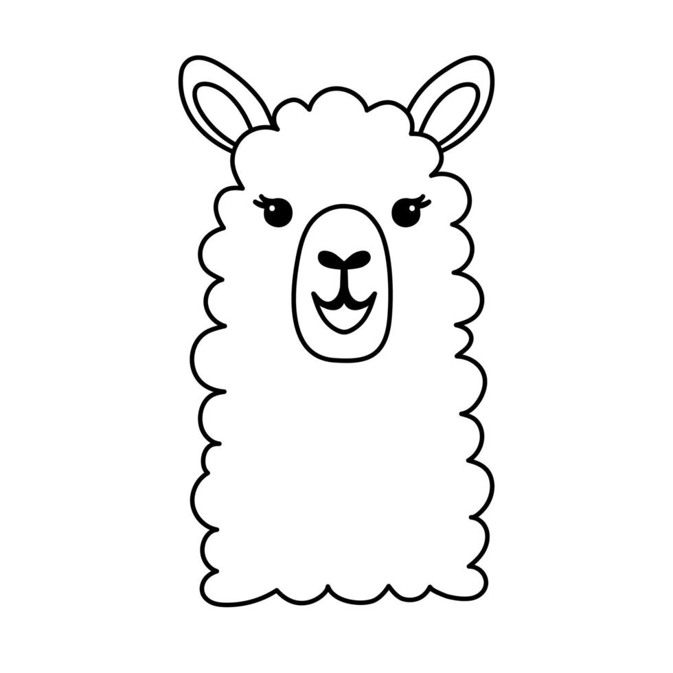Hand drawn funny portrait of baby llama. Black and white line drawing for coloring page . Cute outline vector illustration isolated on white background.