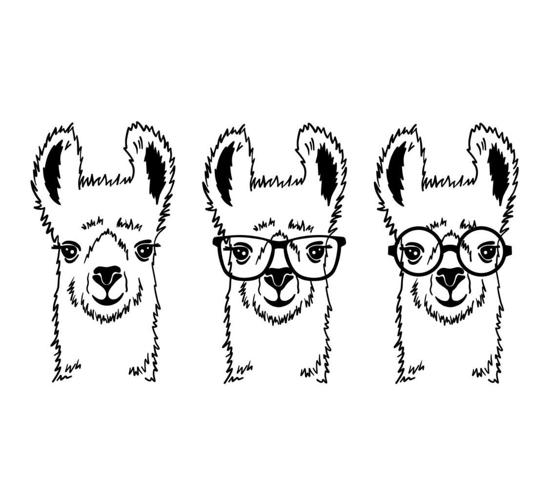 Hand drawn funny portrait of llama with glasses. Black and white line drawing alpaca animal . Cute outline vector illustration isolated on white background.