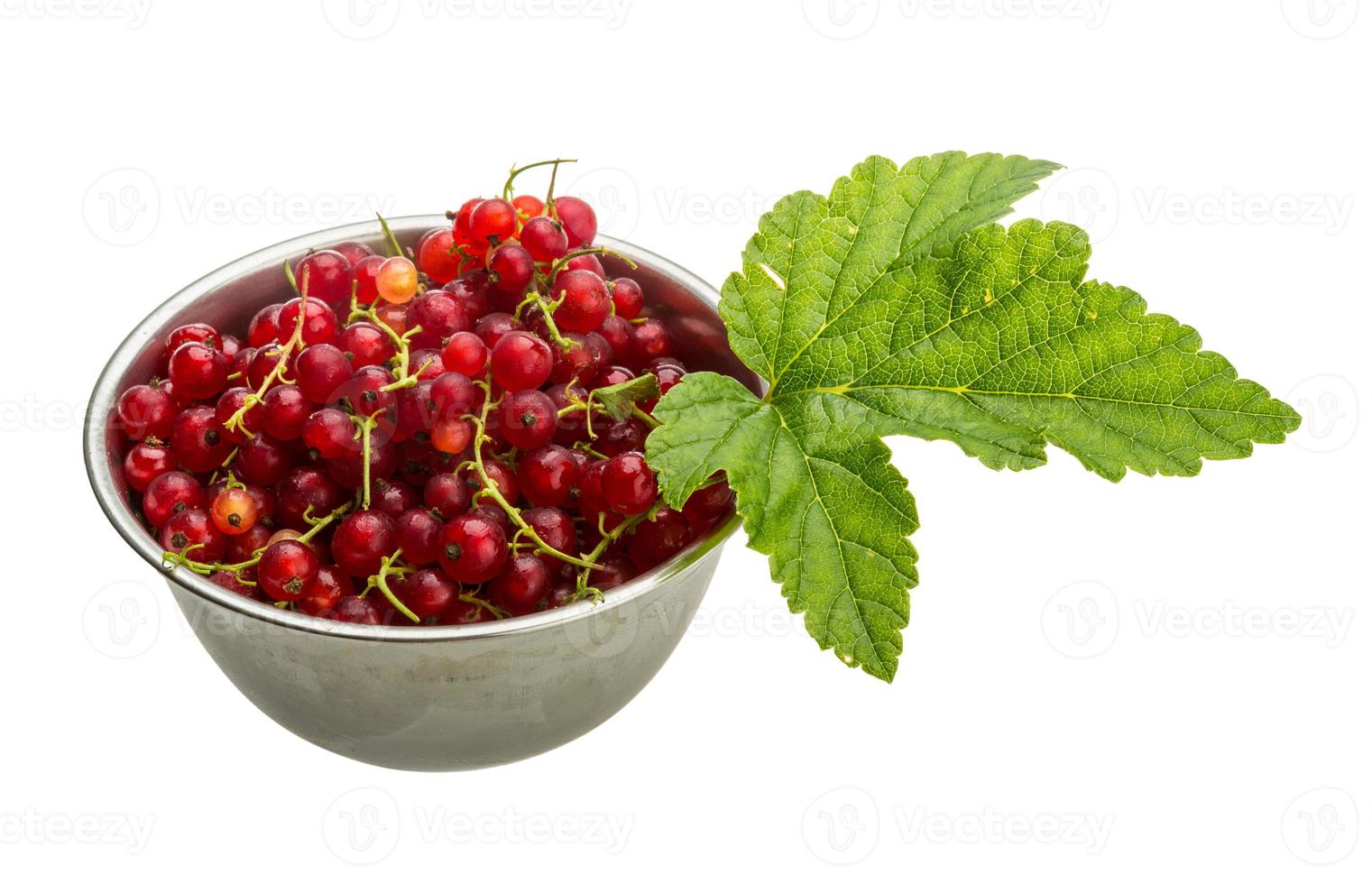 Red currant in the bowl photo