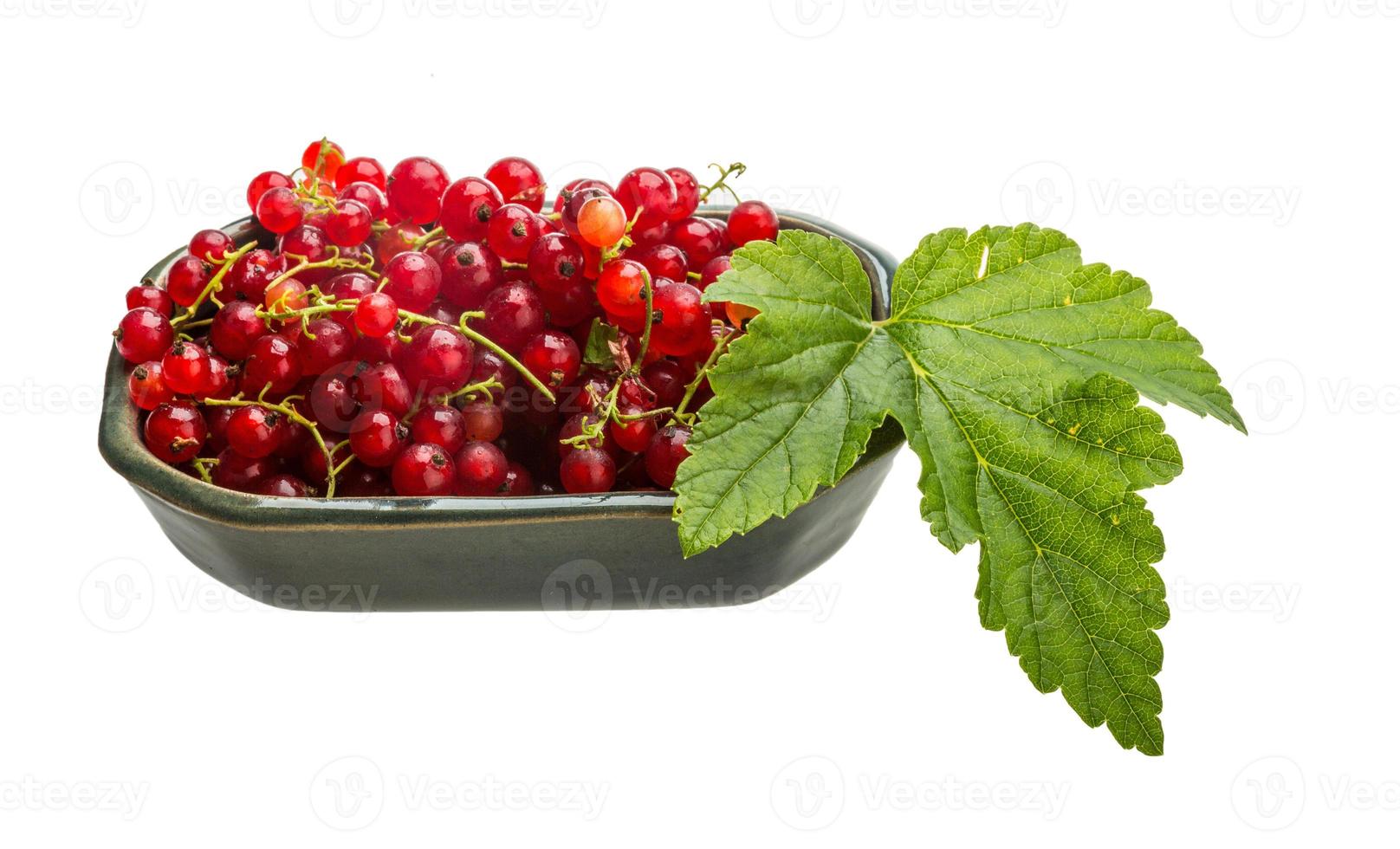 Red currant in the bowl photo
