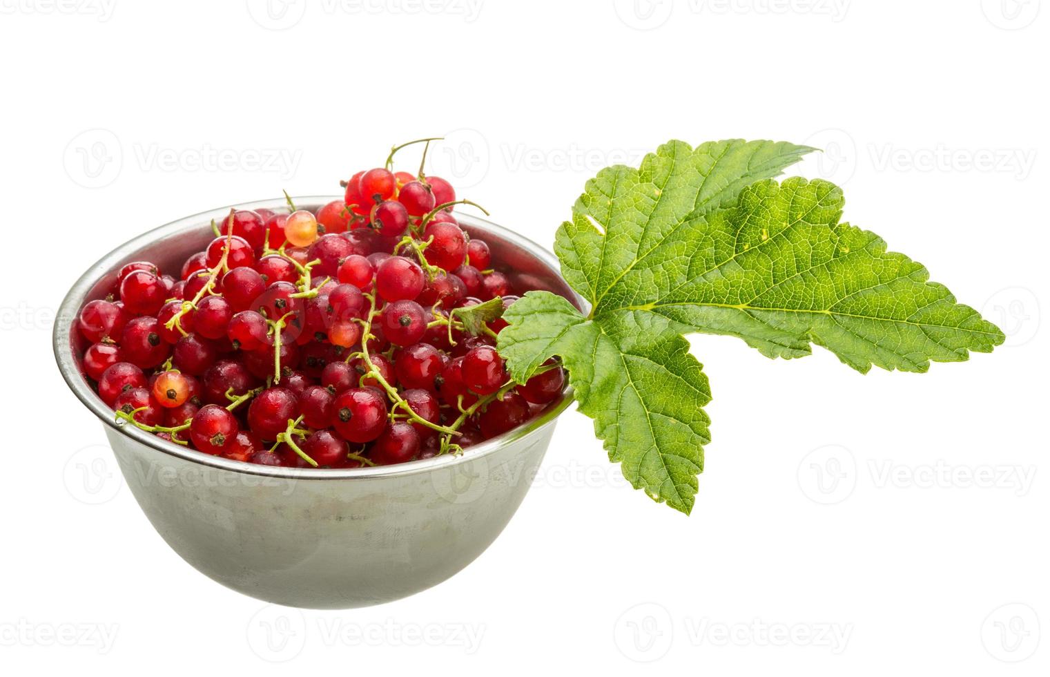 Red currant in the bowl photo