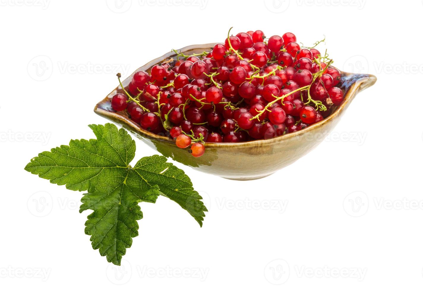 Red currant in the bowl photo