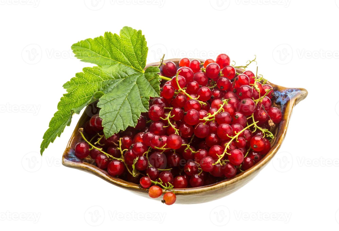 Red currant in the bowl photo
