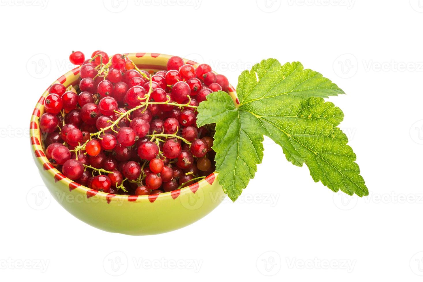 Red currant in the bowl photo