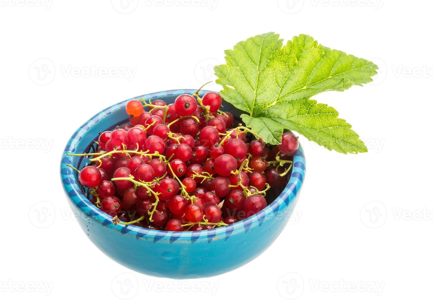 Red currant in the bowl photo