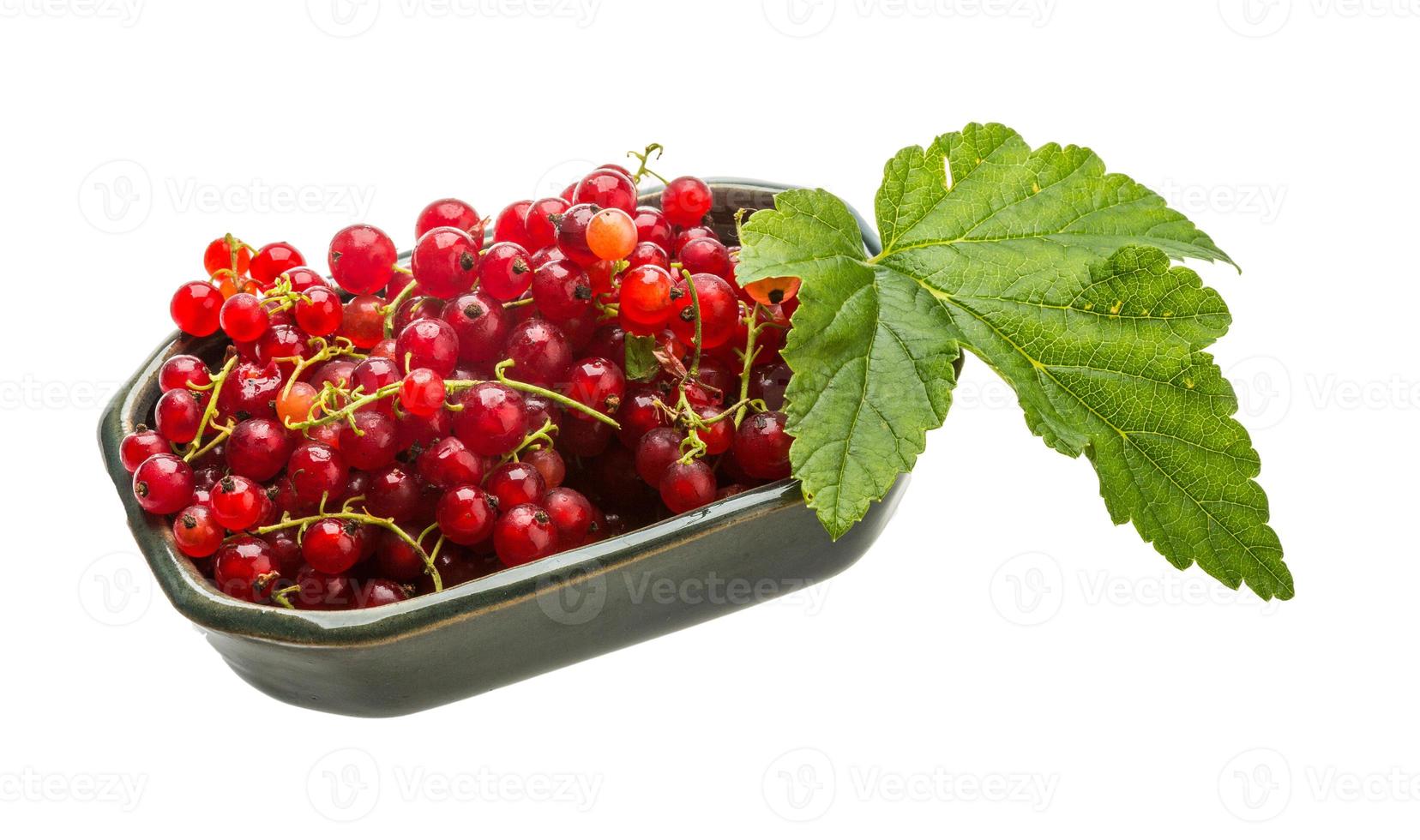 Red currant in the bowl photo